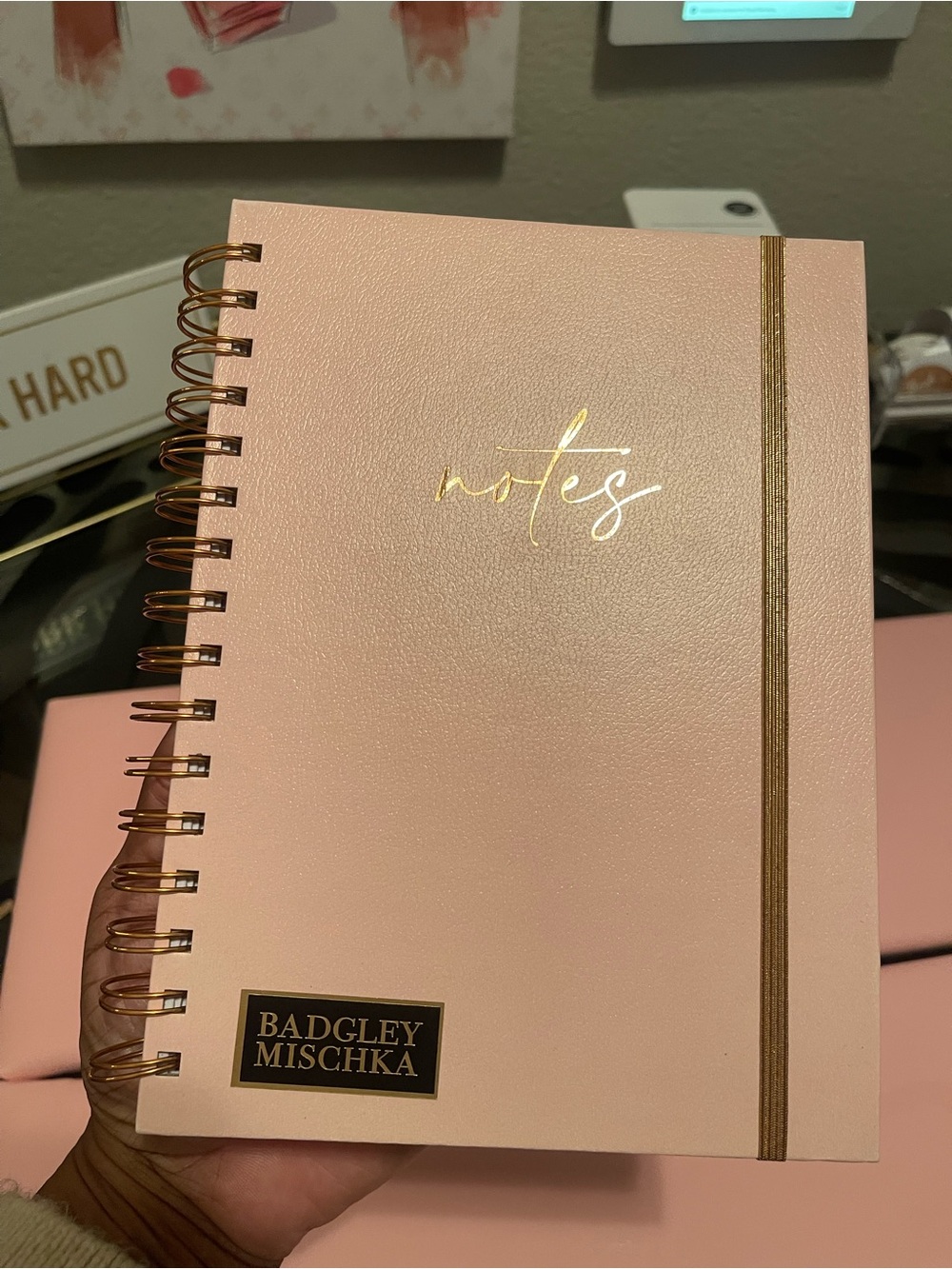 Badgley Mischka Pink Notes Spiral Notebook NEW